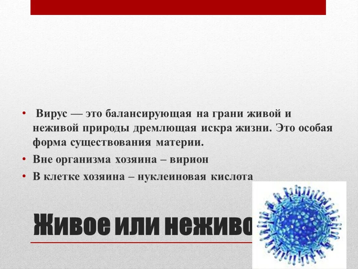 Почему вирусы можно. Вирус. Вирусы неживые. Сходство вирусов с неживой природой. Вирусы Живая или неживая природа.