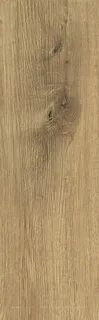 Brown 18