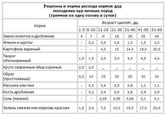 Сколько курица съедает корма. Нормы кормления цыплят кур несушек. Нормы кормления цыплят яичных пород. Рацион кормления мясных цыплят. Норма корма для цыплят несушек.