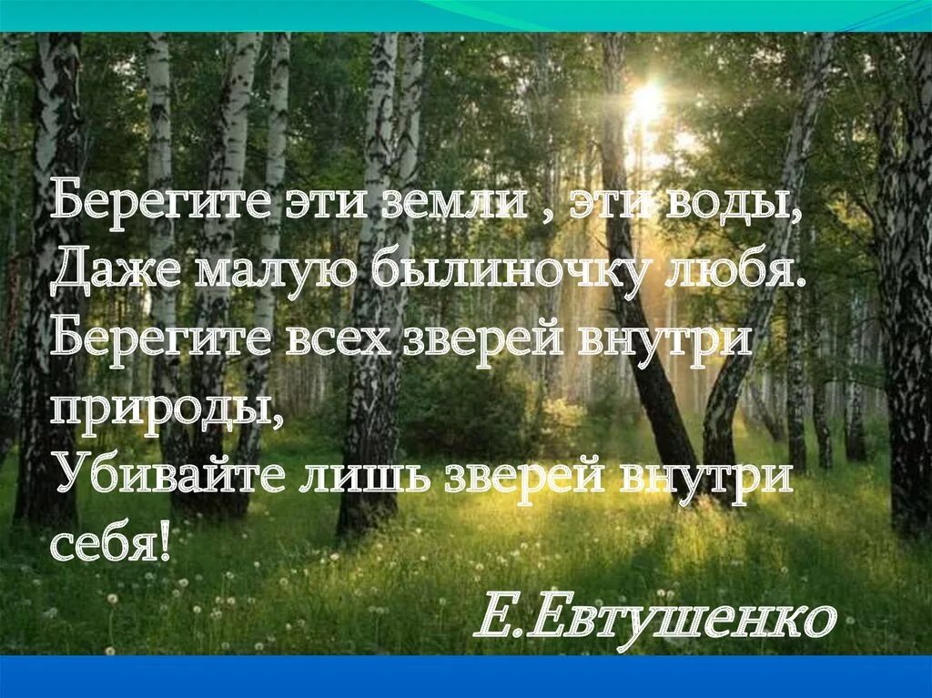 Русская природа текст евтушенко. Евтушенко берегите эти земли. Берегите всех зверей внутри природы. Берегите и любите землю. Берегите эти земли эти воды даже малую былиночку любя.