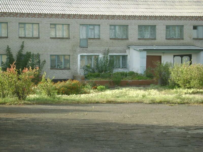 Вид школы 12. Виды школ. школа номер 2 новосергиевский район с наружи. тидибская школа с наружи. тальжинская школа вид снаружи.