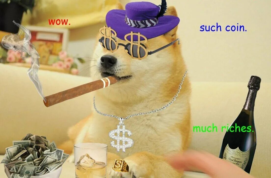 Мем коинс. Догикоин мем. doge криптовалюта. собака коин. doge в очках.