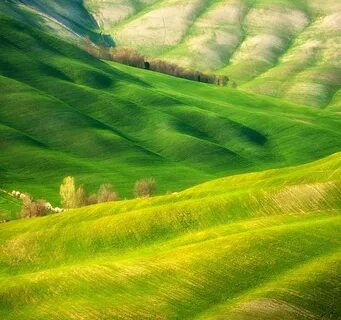 Media landscapes