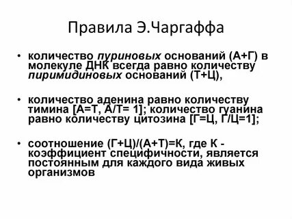 Правило чаргаффа нуклеотиды
