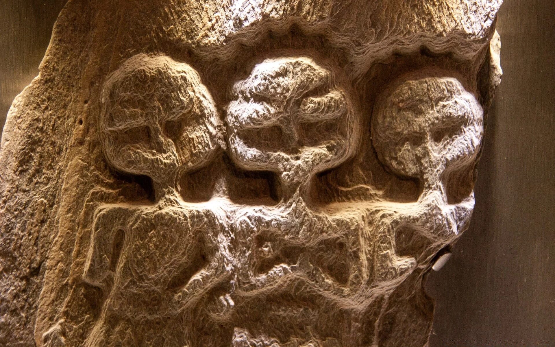 Запретные артефакты древних цивилизаций. Э. Раскопки сокровища древнего египта. Древние цивилизации находки. Древнейшая карта на бивне мамонта.