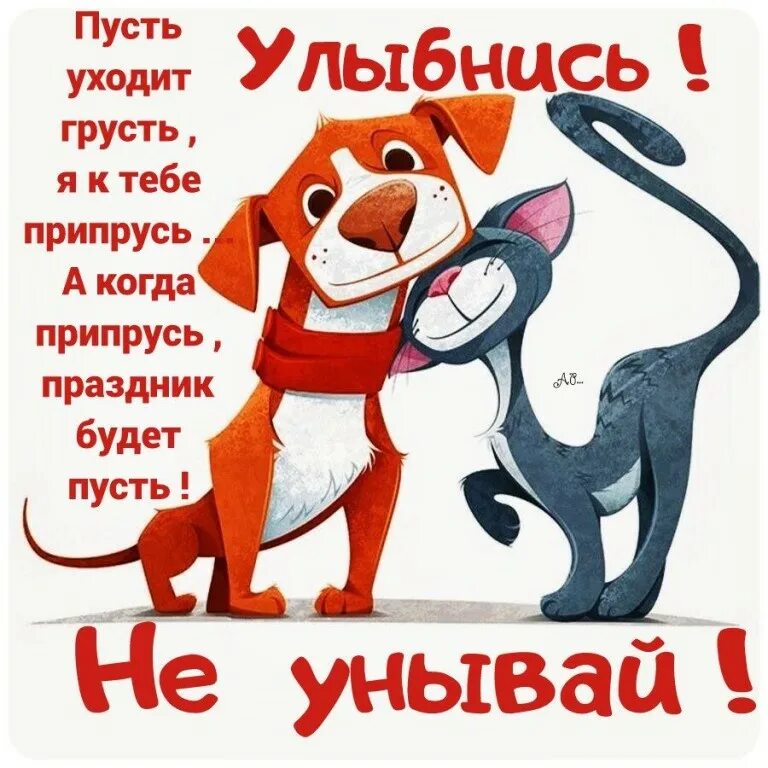 Пусть уходит грусть. А когда припрусь праздник будет пусть. я к тебе припрусь праздник будет пусть. я к тебе припрусь. пусть уходит грусть и я к тебе припрусь картинка.