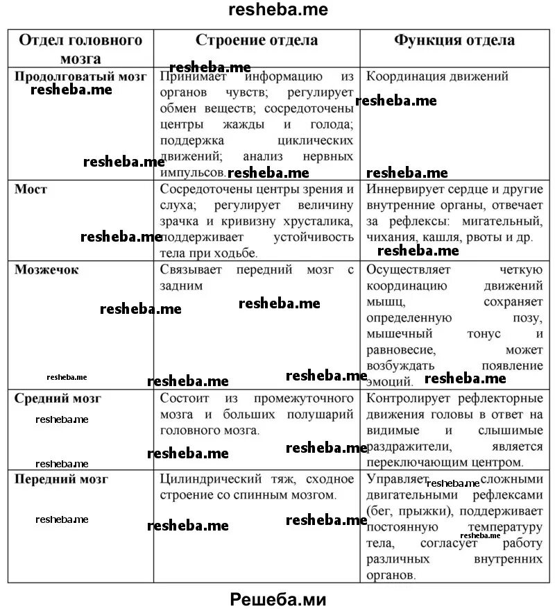 Отделы головного мозга таблица. Заполните таблицу строение головного мозга. Заполните таблицу отделы головного мозга. Таблица строение головного мозга 8 класс. Заполните таблицу функции отделов головного мозга