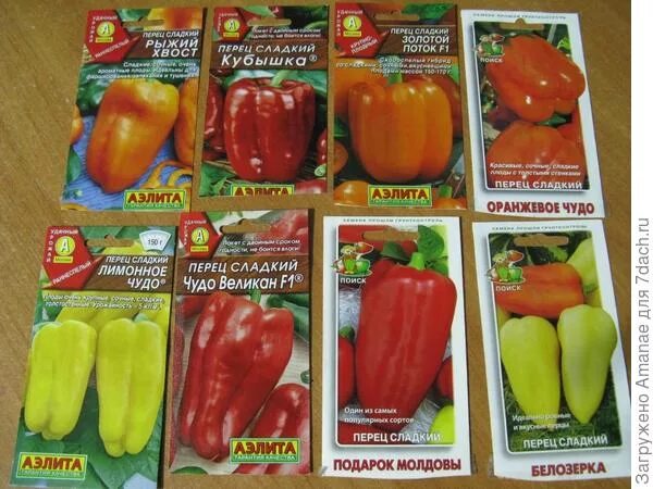 перец оранжевое чудо сады россии. перец оранжевое чудо описание сорта. перец оранжевое чудо f1 уральский дачник. семена перец сладкий оранжевое чудо f1. перец оранжевое чудо описание сорта.