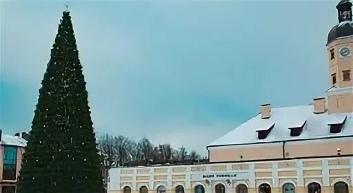Ели несвиж. Несвиж новый год. несвиж елка зимой. несвиж перед новым годом. несвиж новогодний фото.