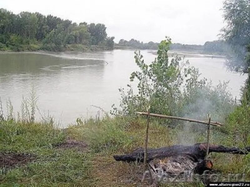 Погода кособоково шипуновского алтайского края. Погода кособоково шипуновского алтайского края. Погода кособоково шипуновского алтайского края. Погода кособоково шипуновского алтайского края. Погода кособоково шипуновского алтайского края.