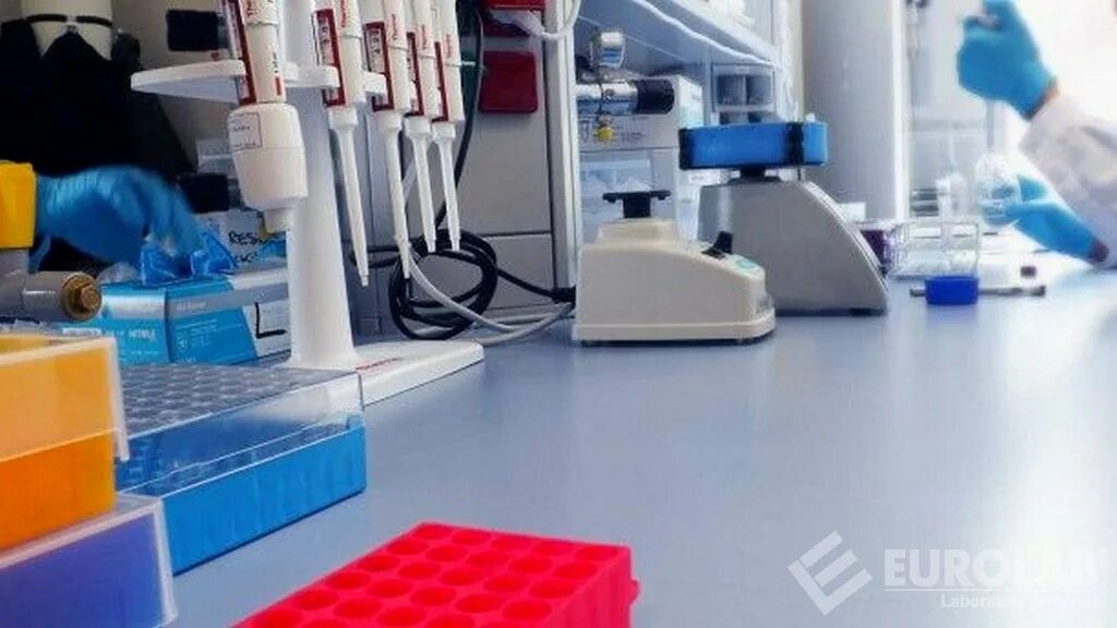 In vitro реагент. Медицинские изделия для диагностики in vitro. Тестирование in vitro. Набор реагентов "ДС-ИФА-анти-HCV-спектр-GM" С-452. Тестирование продукции на производстве.