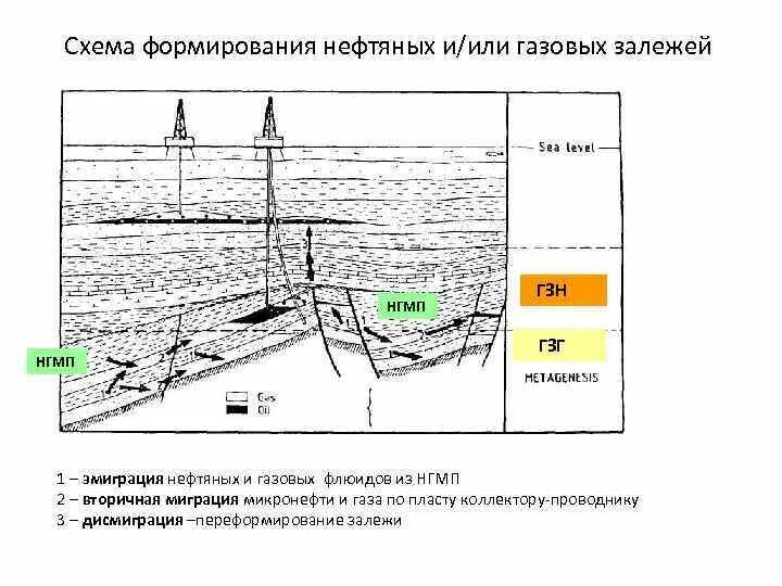 Формирование нефти и газа. Месторождения нефти и газа. Условия формирования. Формирование залежей нефти и газа. Условия формирования нефти. Геология и разведка нефтяных и газовых месторождений.