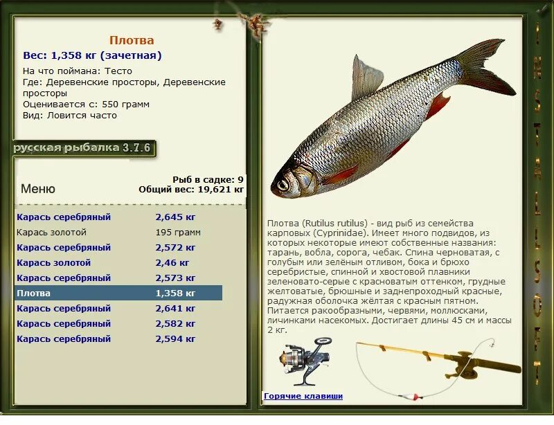 Русская рыбалка 4 карась серебряный. Русская рыбалка 3 7 6 Деревенские просторы карась серебряный. Русская рыбалка 3.7.6 карась золотой. Русская рыбалка 3.6 Деревенские просторы карась серебряный. Русская рыбалка 376