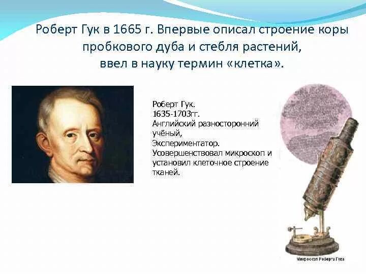 Гук ввел термин клетка. Гук ввел термин клетка