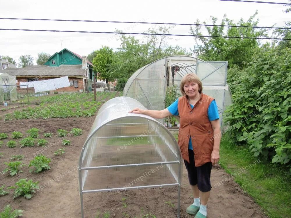 Купить теплицу в александрове. Парник Крепыш 2м. Парник Крепыш 2м оцинкованный. Сборка парник помощник мини.