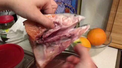 У рыбы есть мозги