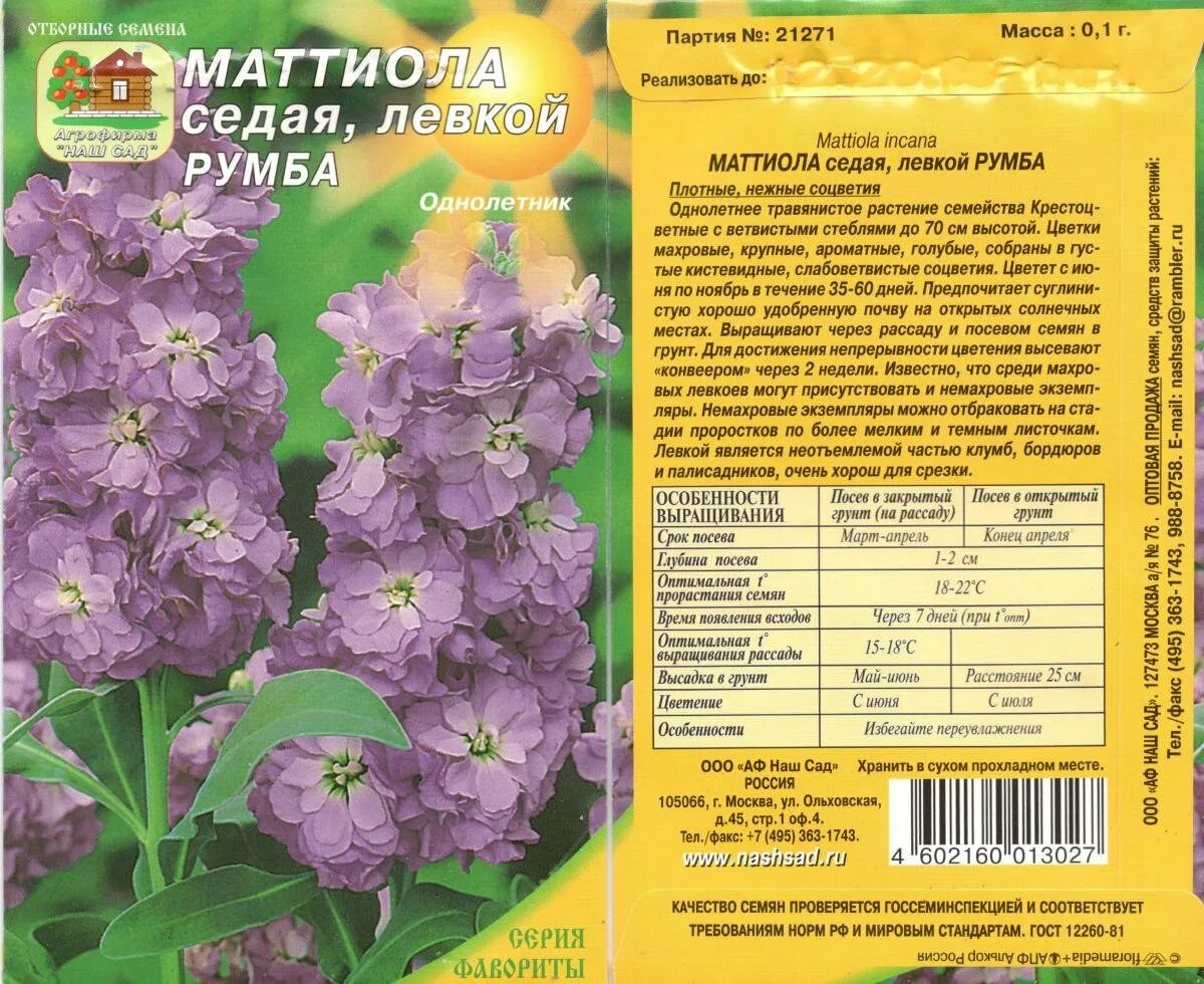 Сфинкс украинский левкой. Маттиола седая левкой. Маттиола левкой цветы. Левкой растение. Сколько левки.