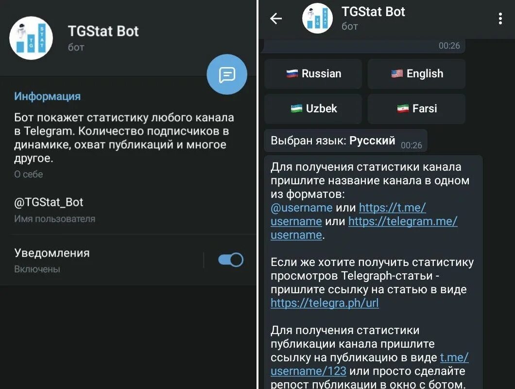 Статистика телеграмм бота. Боты для телеграмм канала. Тг стат. Статистика телеграм канала. Https tgstat ru channel