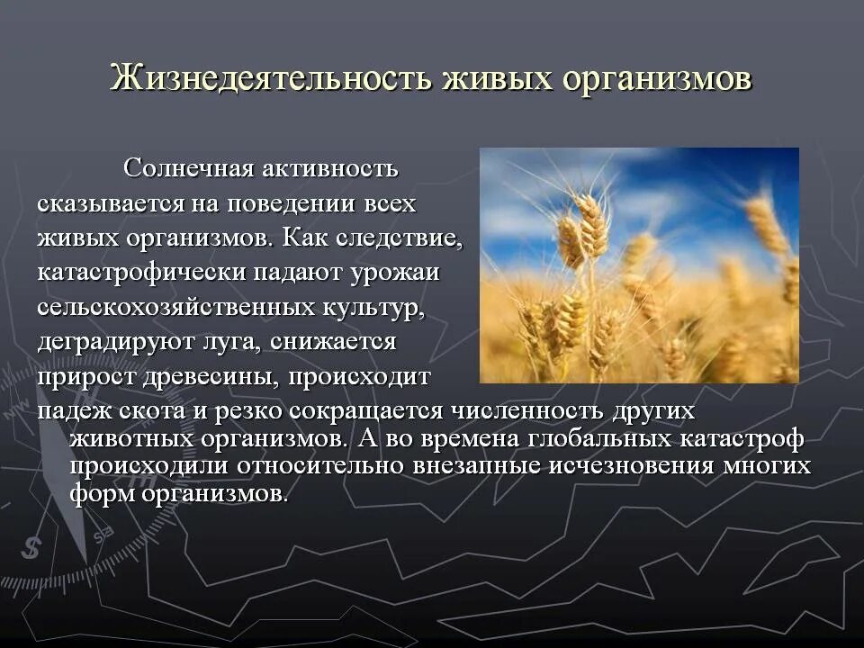 Влияние солнечной активности. Влияние солнечной активности на живые организмы. Воздействие солнечной активности на природу. Воздействие солнечной активности на человека. Влияние солнечных бурь на землю