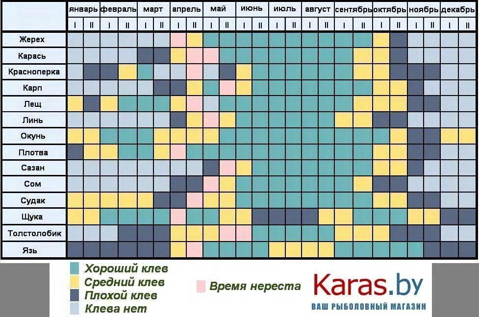 Время года ловли. Календарь клева карася. Календарь рыбака на карпа. Таблица ловли рыбы. Календарь клева карпа и карася.