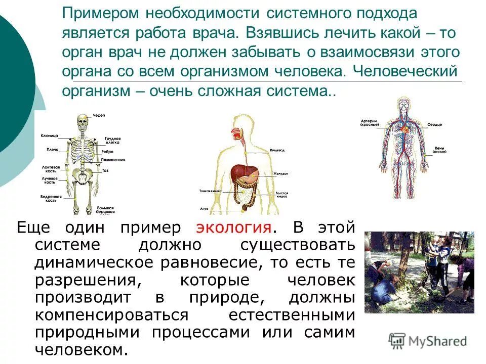 токсичные вещества в организме. организм человека. ослабление организма. внутренние органы человека 2 класс окружающий мир. процент воды в человеке.