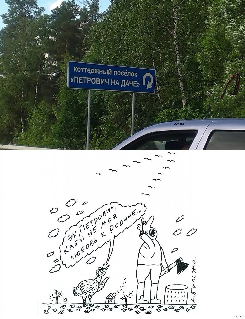 Дачи петровичи
