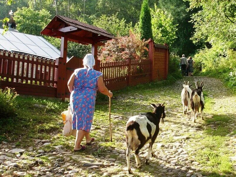 Эта простота деревенской жизни. Деревенская жизнь. Жизнь в деревне. Люди в деревне. Повседневная деревенская жизнь.