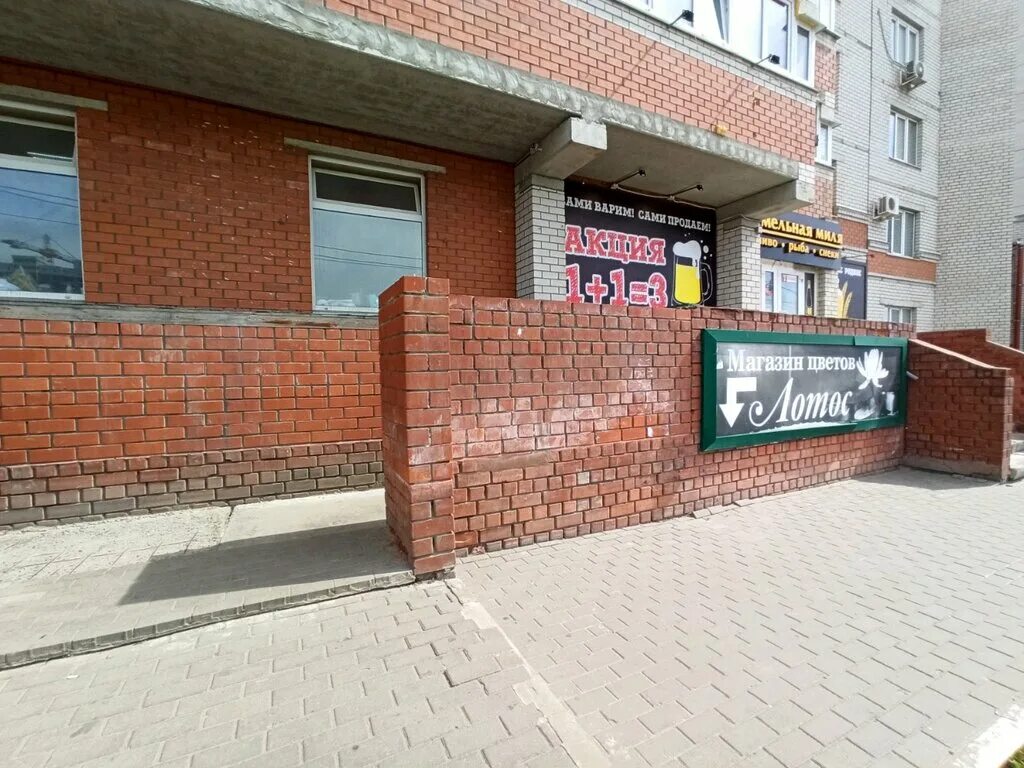 цоколь воронеж. цоколь воронеж. цоколь воронеж. улица орджоникидзе 26. орджоникидзе 26 воронеж боулинг.