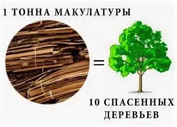 Тонна макулатуры спасает деревьев. 100 кг макулатуры 1 дерево. дерево из макулатуры. одна тонна макулатуры спасает.