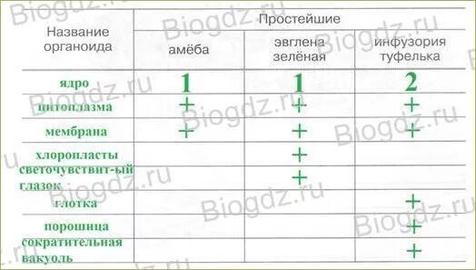 Заполните таблицу сходства и различия. Заполните таблицу сходства и различия строения простейших. Сходство и различие строения простейших. Сходство и различие простейших таблица. Таблица сходства и различие строения простейших таблица.