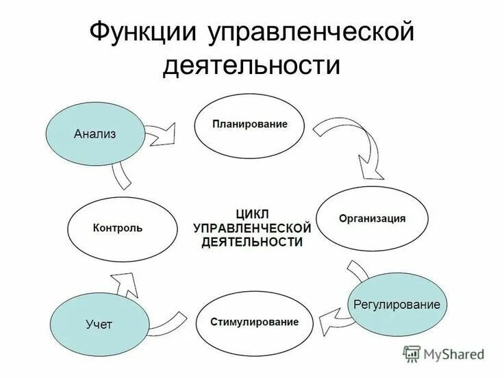 Функции управления характеризуются. Функции управленческой деятельности. Функции управления деятельности. Функции менеджмента схема. Последовательность функций управленческой деятельности.