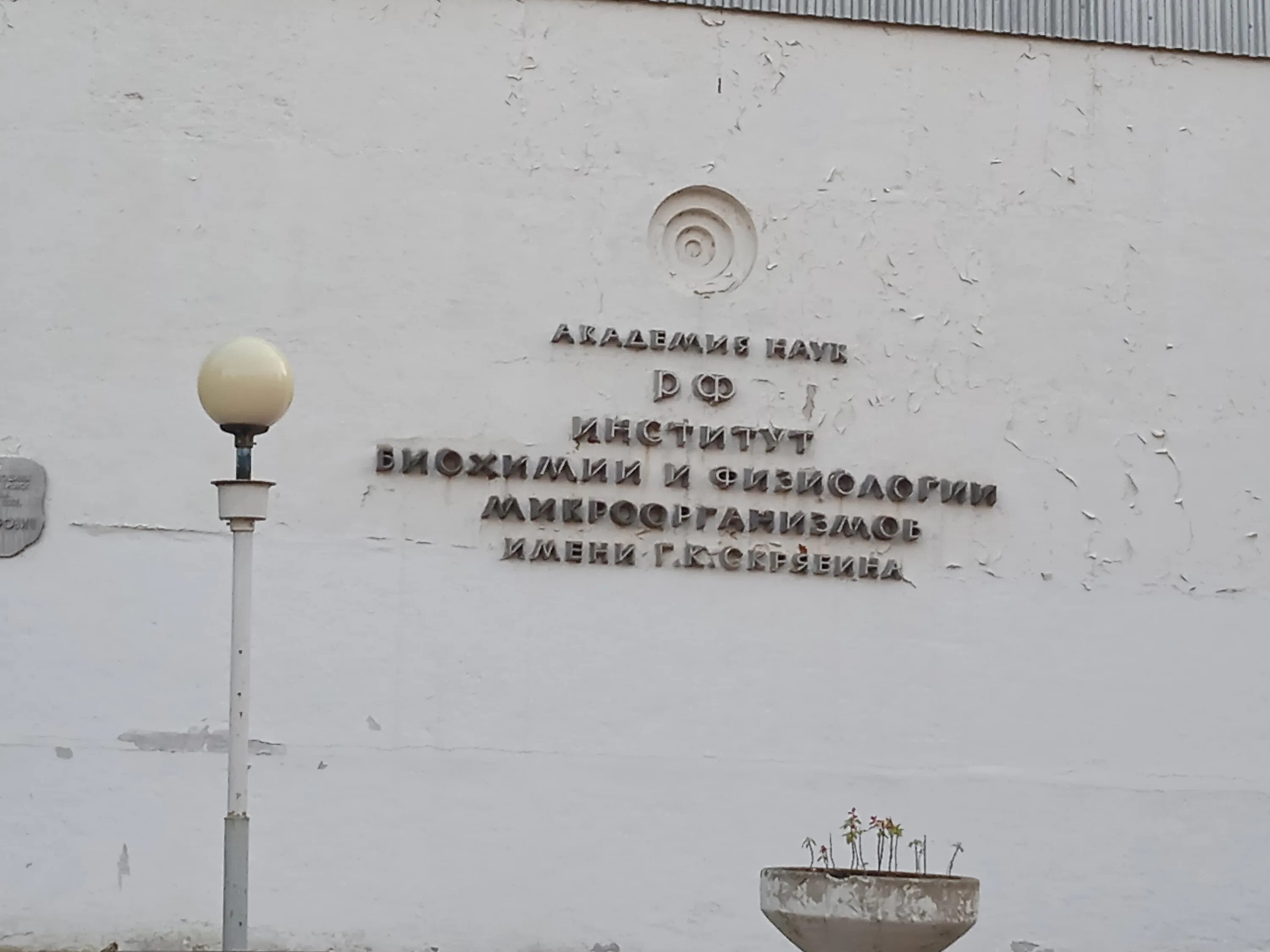 институт биохимии и физиологии микроорганизмов. ибфм ран пущино. к. институт биохимии и физиологии микроорганизмов. институт биохимии пущино.