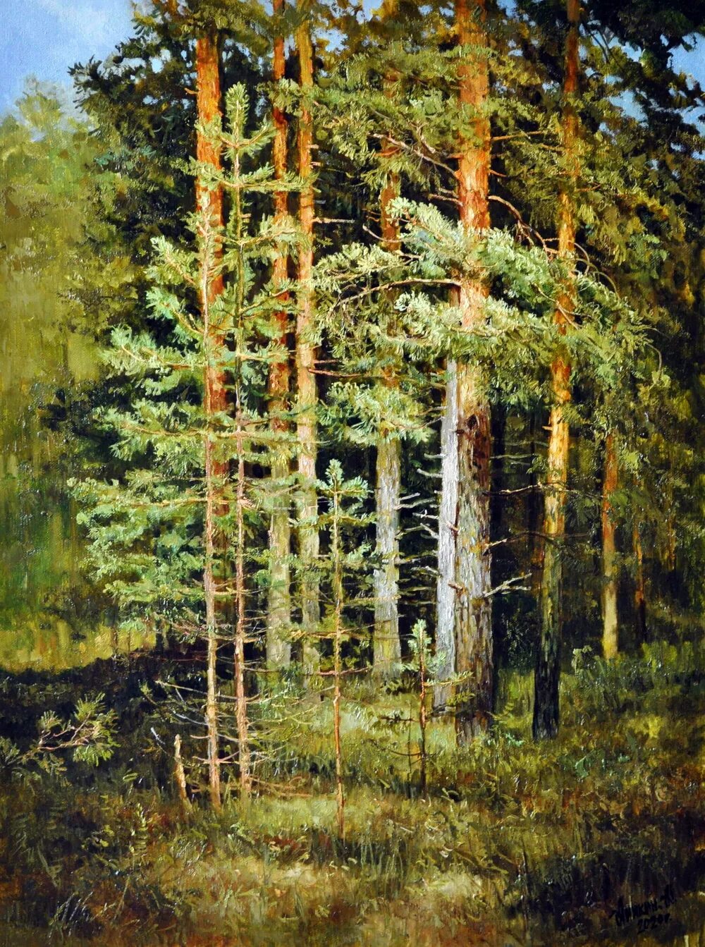 Соснов художник. Соснов художник. Сосновый бор мачтовый лес в вятской губернии 1872. Шишкин лесная поляна картина. Сестрорецкий бор шишкин картина.
