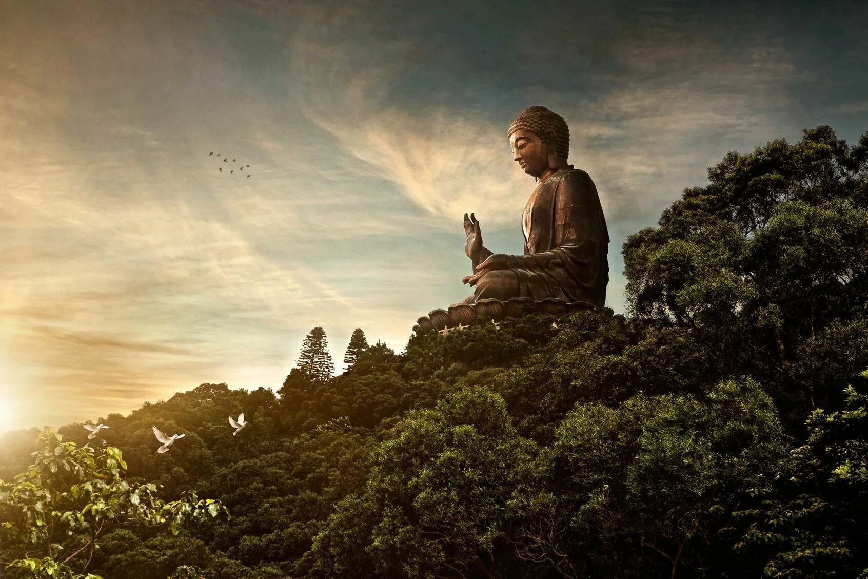 Жизненная мощь мудрость сосредоточенность и успокоение. Просветление Будды. Будда Шакьямуни гора. Будда на острове Лантау. Тяньтань Будда.