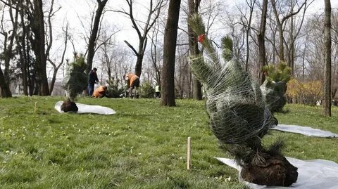 Краснодарская посадка