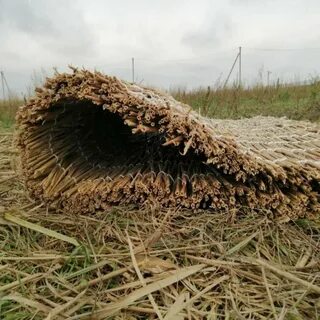 Камышовые маты