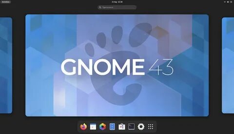 New gnome