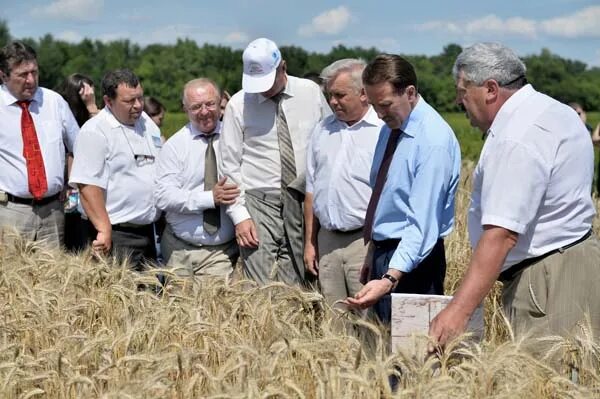 Воронежская таловский сайты