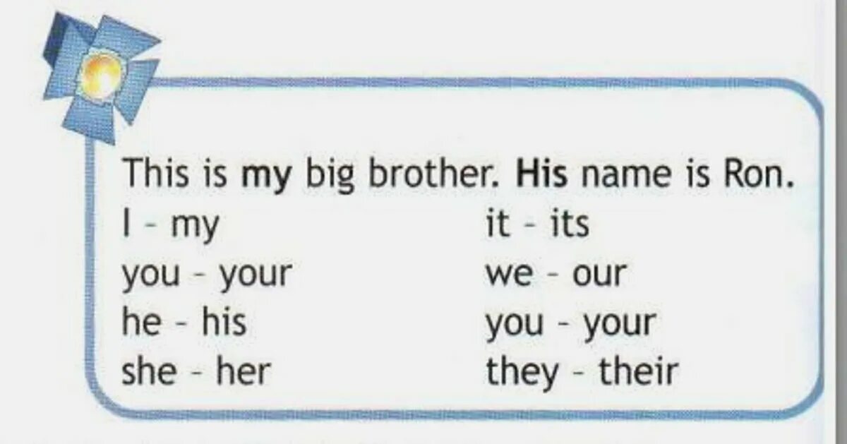 Her his name s. A New member 3 класс. Английский язык 3 класс тесты a New member. A New member 3 класс Spotlight. His name is.