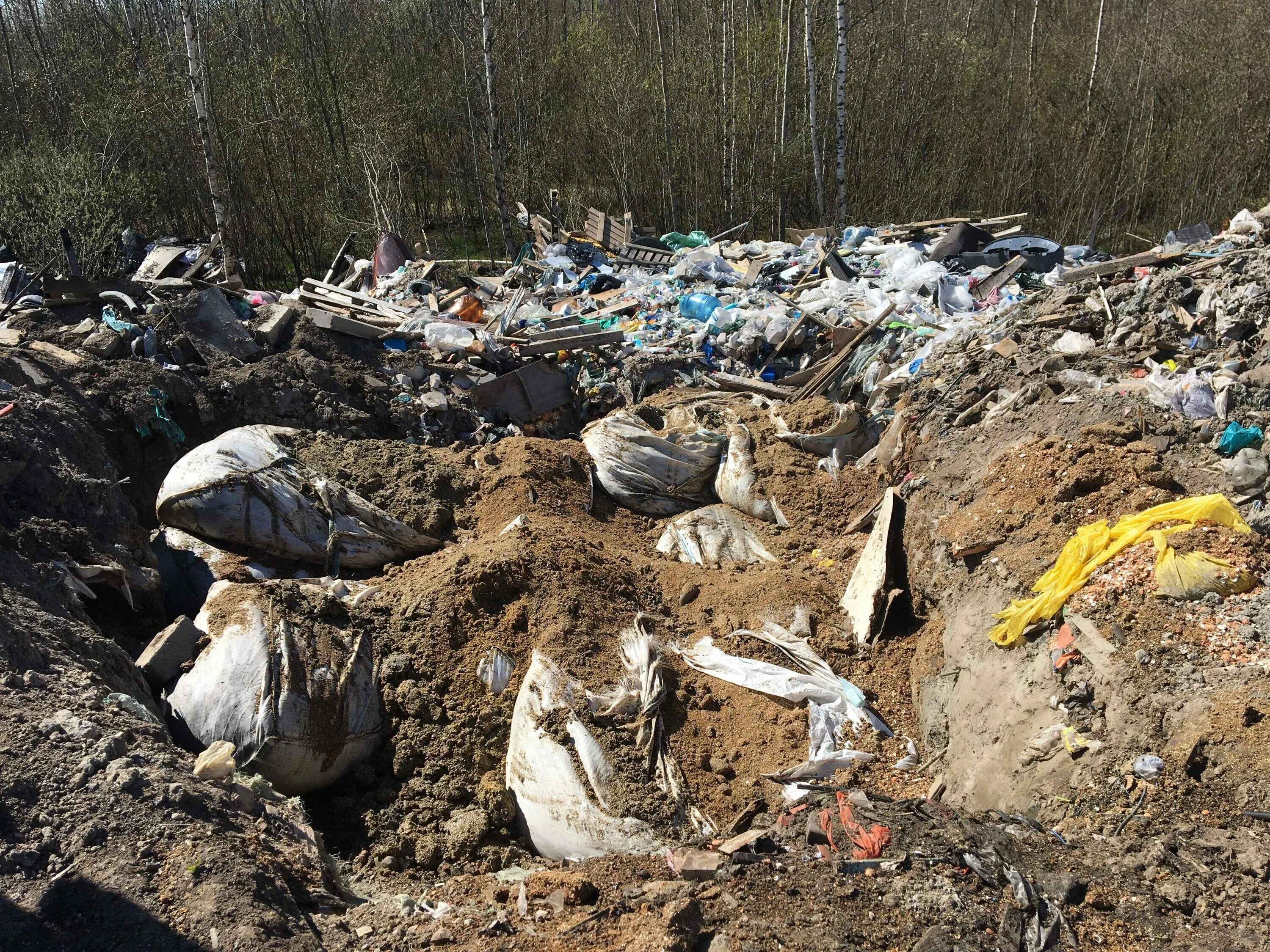 Мусорный полигон Санкт-Петербург Приморский район. Свалка в Красносельском районе. Свалки Красносельский район.