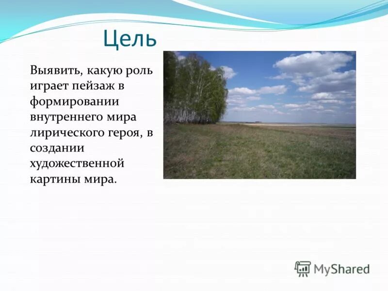 Какую роль играет пейзаж в бирюке. Какую роль играет пейзаж в бирюке