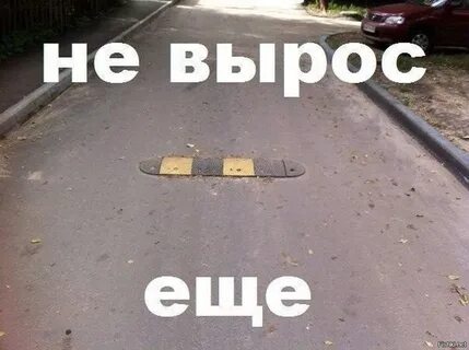 Смешные картинки с надписями последнее