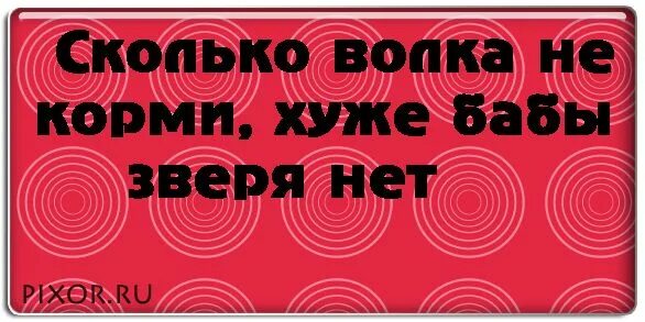 Нет зверя страшнее чем человек. Страшнее бабы зверя нет. Бабы твари. Хуже бабы зверя нет картинки. Надпись по бабам.