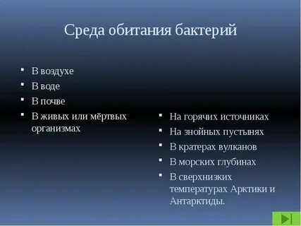 Место обитания бактерий