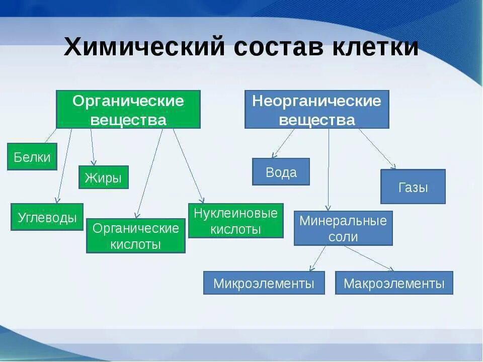 Группы элементов входящие в состав клетки. Химический состав клетки таблица. схема химических веществ в составе клетки. химический состав клетки 9 класс биология таблица. химический состав клетки 5 класс биология таблица.