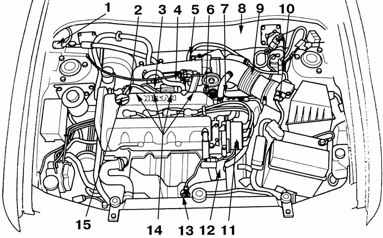 Схема моторного отсека Nissan Terrano 2011. Двигатель Ниссан Альмера Классик 1.6 схема. Nissan primera датчик впрыска. Датчики двигателя Ниссан Альмера Классик двигатель 1.6.