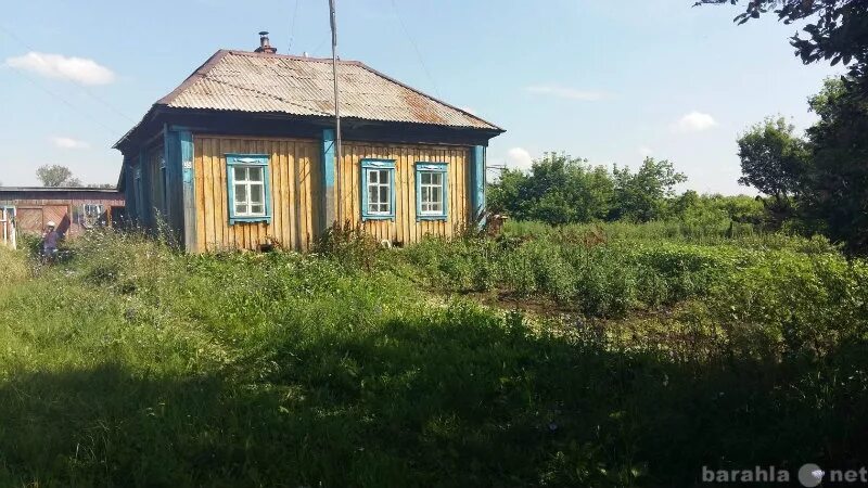 Погода в зеленой поляне алтайского края. Погода в зеленой поляне алтайского края. Посёлок зелёная поляна белгород. Погода в зеленой поляне алтайского края. Погода в зеленой поляне алтайского края.