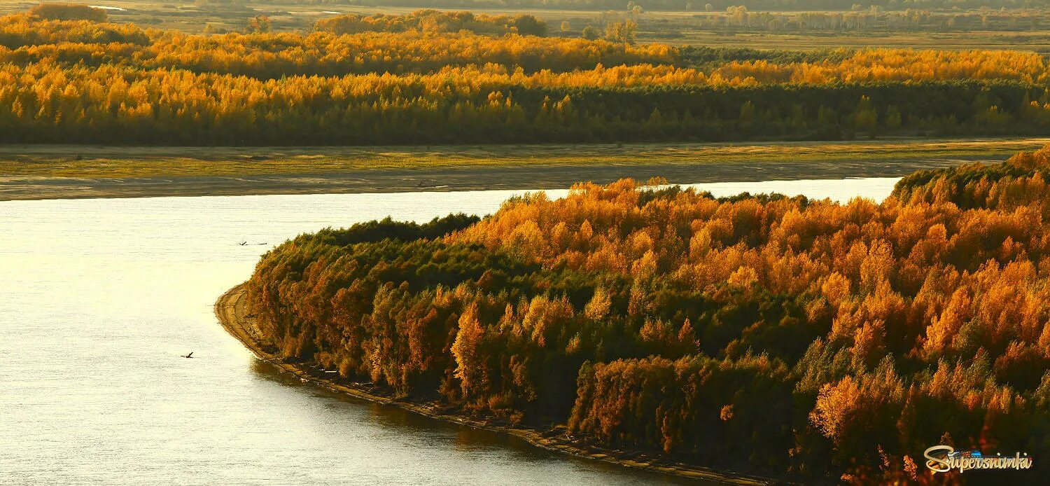 Долина реки Обь. Река Обь осенью. Кожевниково река Обь. Река Обь Новосибирск.