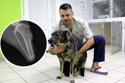 Протезирование новосибирск