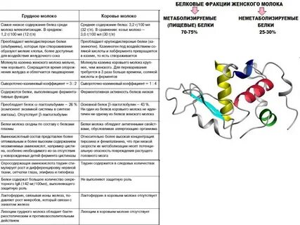 Ферменты молока